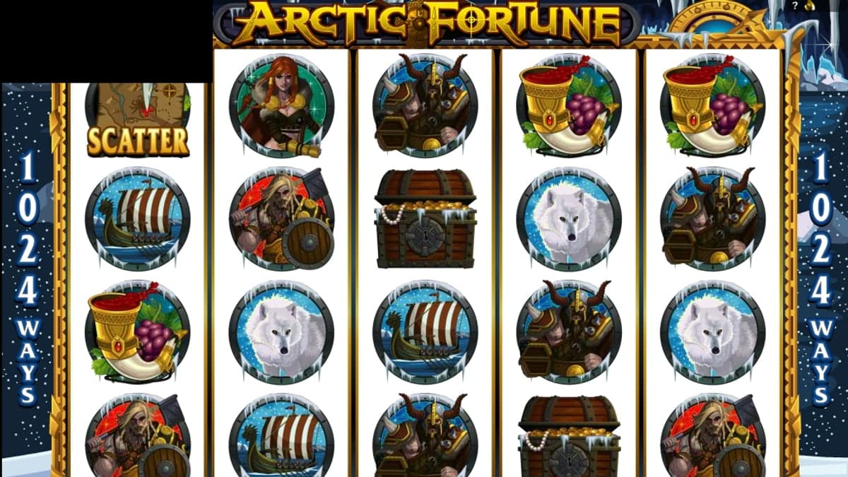 Arctic Fortune base game screenshot — 5×4 reels