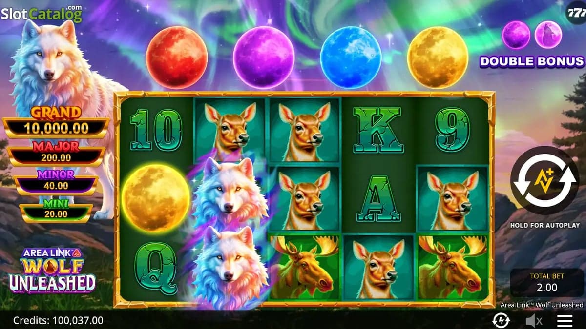 Area Link: Wolf Unleashed base game screenshot — 5×3 reels