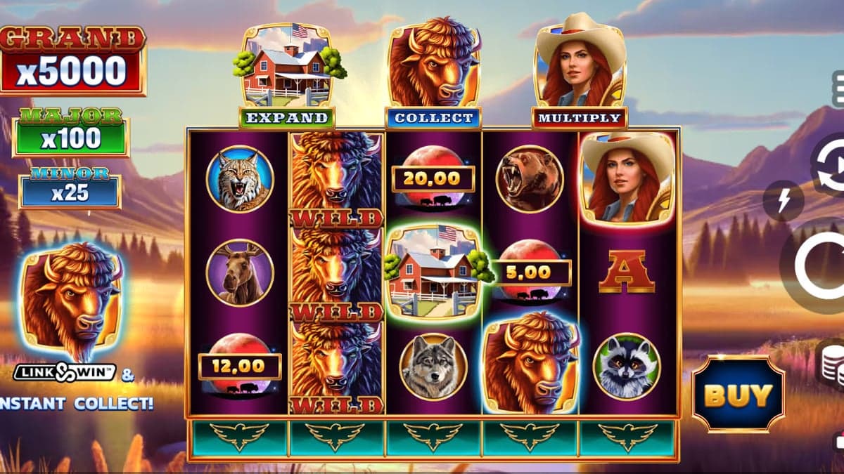 Bison Moon Power Combo base game screenshot — 5×3 reels