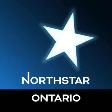 NorthStar Bets logo